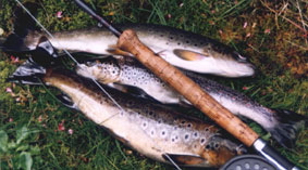 truchas en asturias,pesca truchas,asturias mosca,pesca a mosca pesca mosca